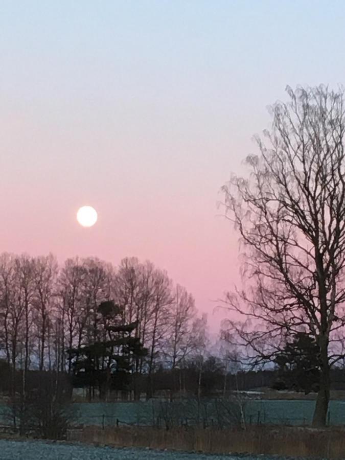 Liten Stuga Mitt I Naturen Pa Kinnekulle Hallekis Bagian luar foto